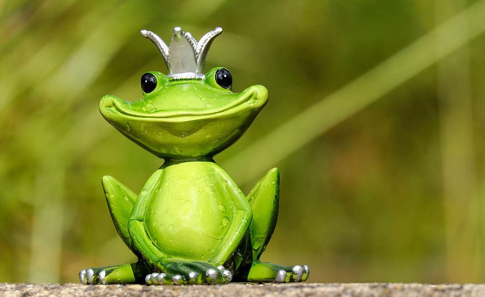 La rana sorda: Una fascinante historia para reflexionar.