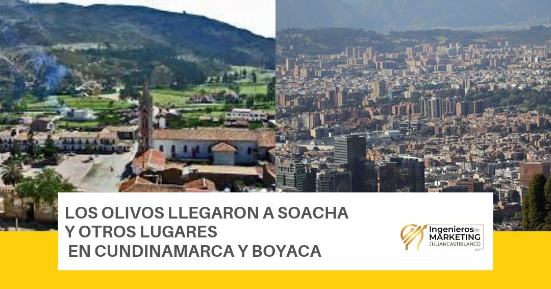 LOS OLIVOS LLEGARON A SOACHA Y OTROS  LUGARES EN CUNDINAMARCA Y BOYACA