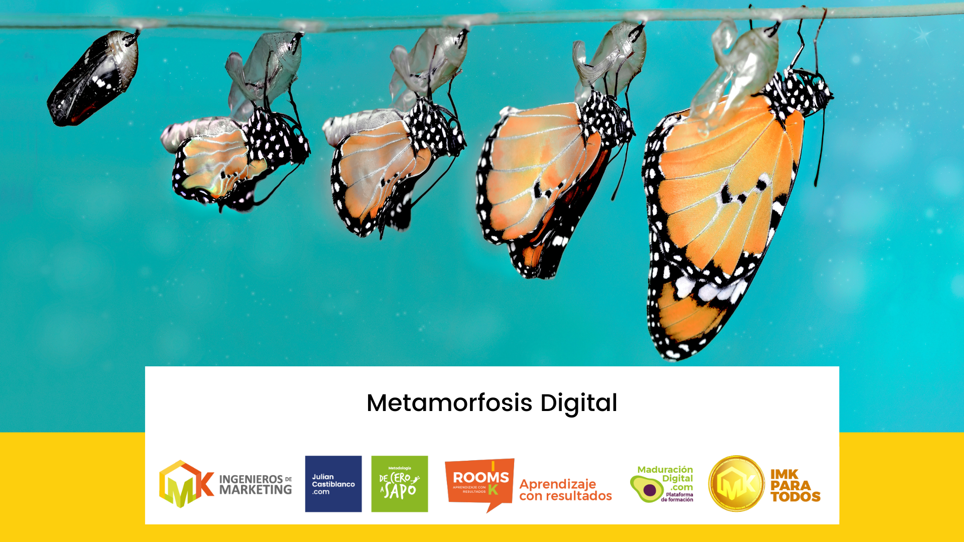 Metamorfosis Digital